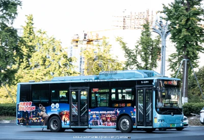 800BUS