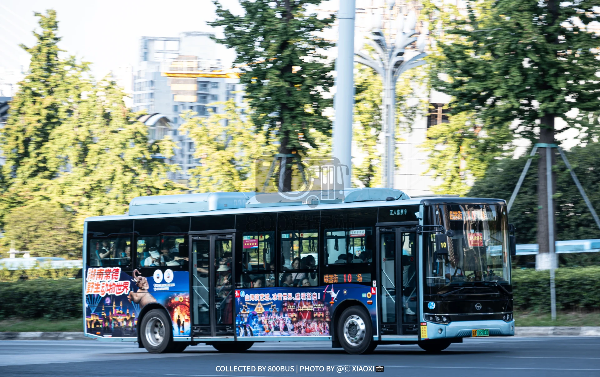 Bus Archive