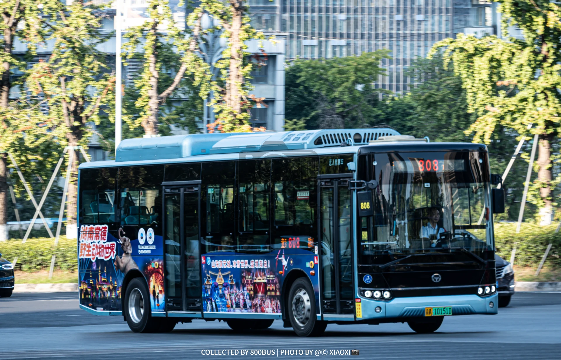 Bus Archive