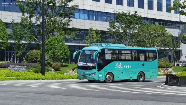 浙A·03892D