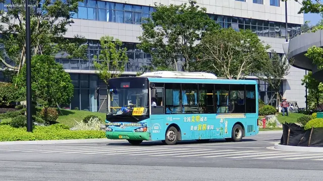 浙A·03536D
