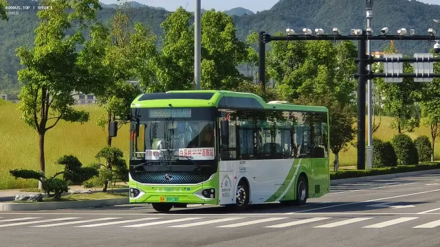 浙A 38913D