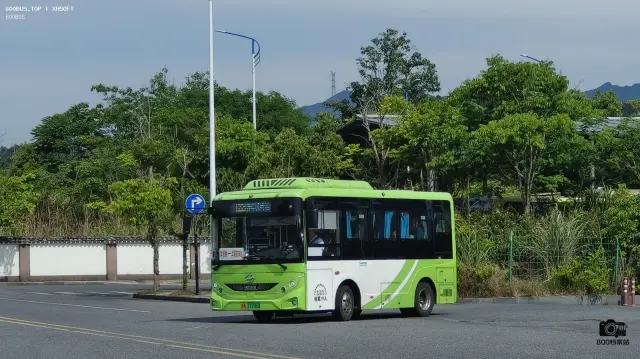 浙A 37706D