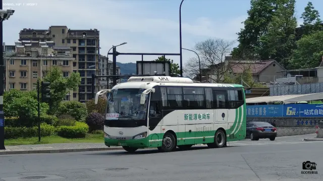 浙A 09200D