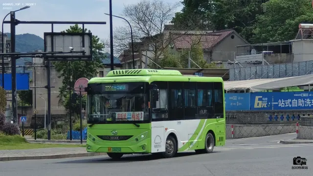 浙A 33025D