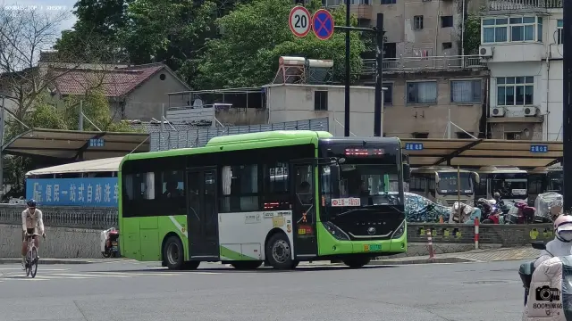 浙A 31173D