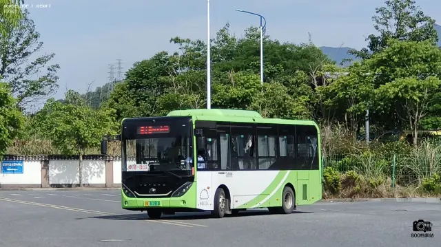 浙A 31191D