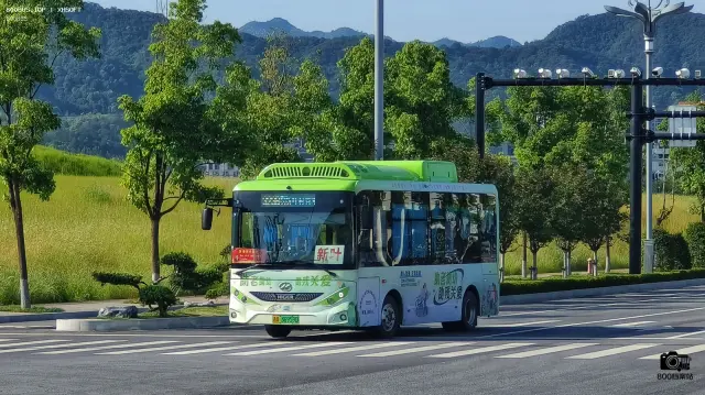 浙A 36959D