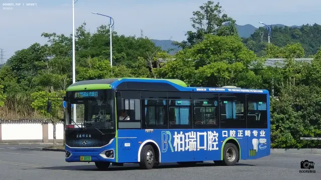 800BUS