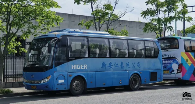 浙A 5E969