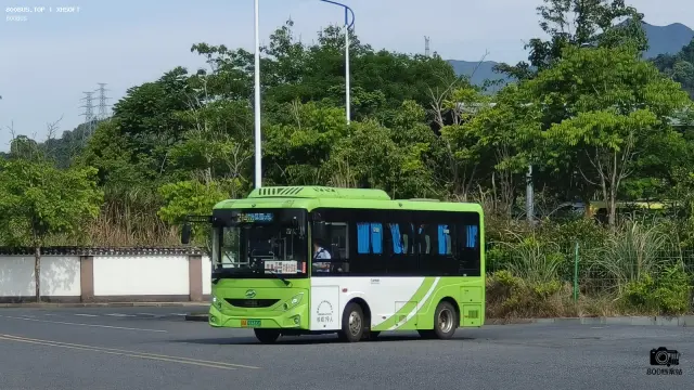 800BUS