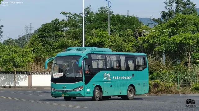 浙A 03876D