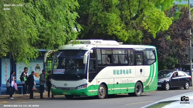 浙A 09266D