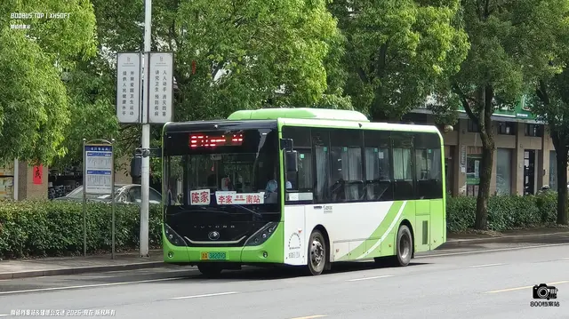 浙A 38209D