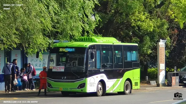 浙A 05353D