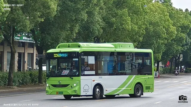 浙A·38335D