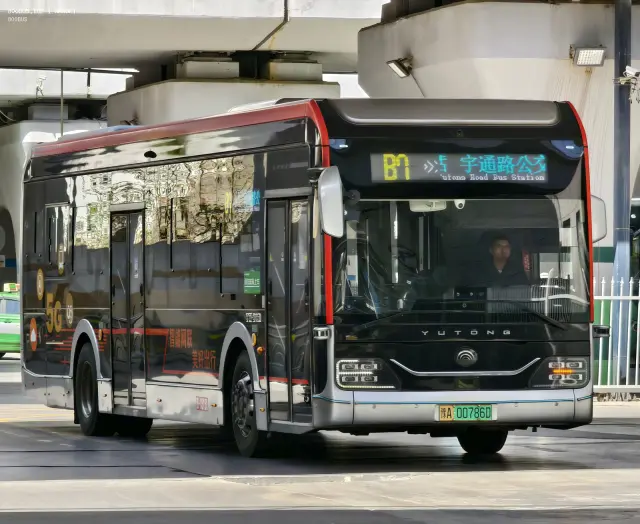 800BUS