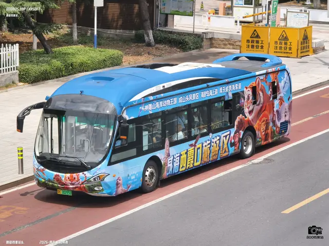 鲁K 00295D