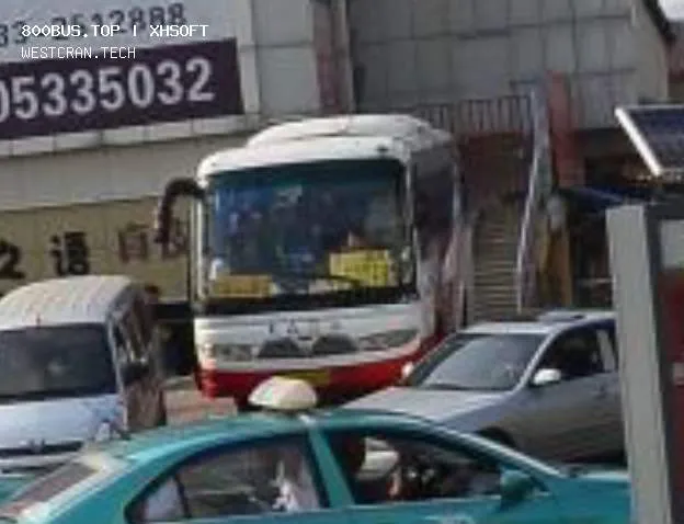 未知