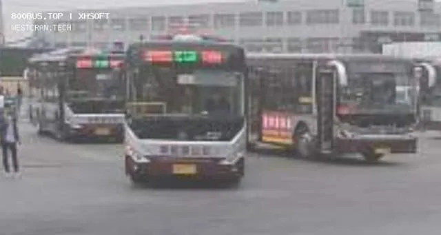 未知