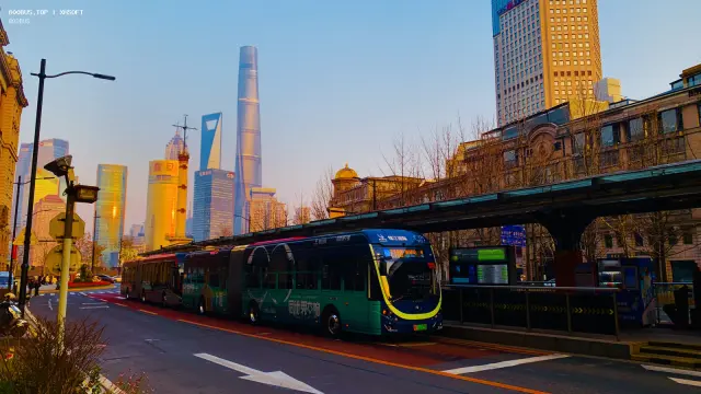 沪A 11025A