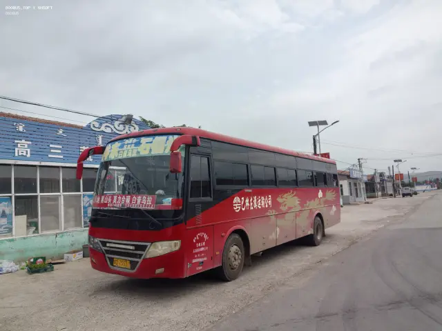 800BUS