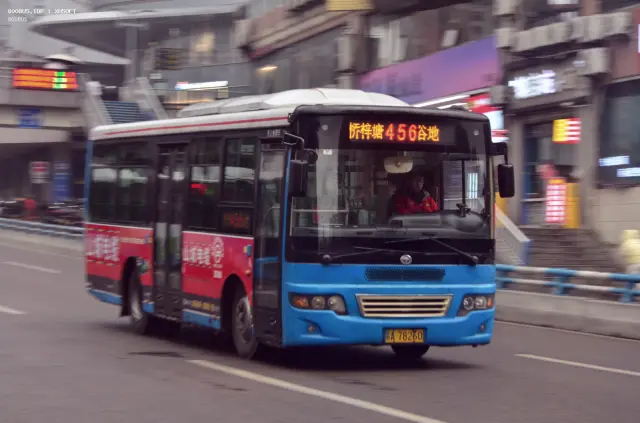 800BUS