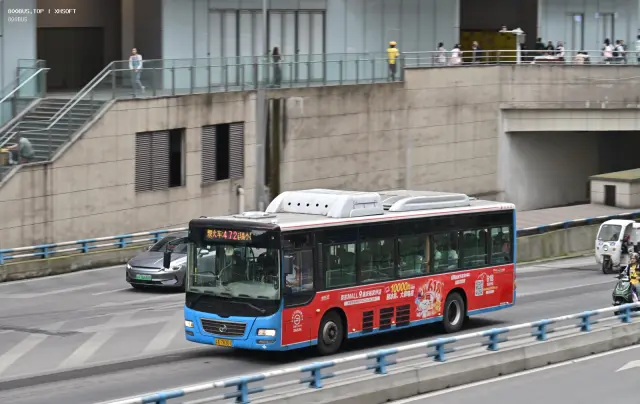 800BUS