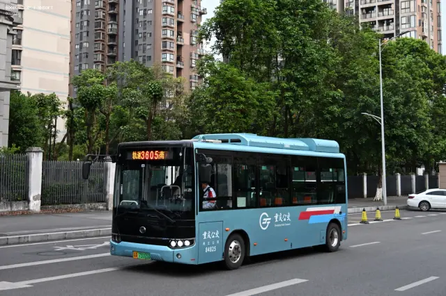 800BUS