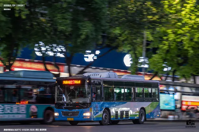 800BUS