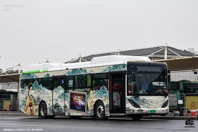 冀D 00123D