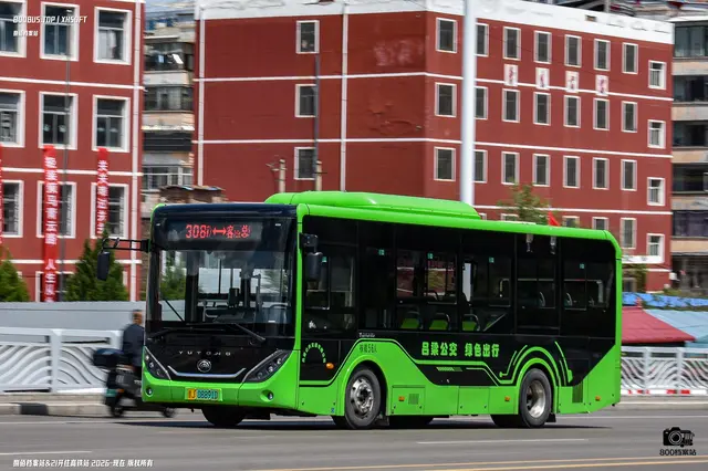 800BUS