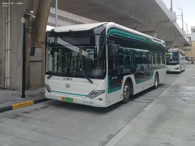 沪A00816D（W1G-0098）