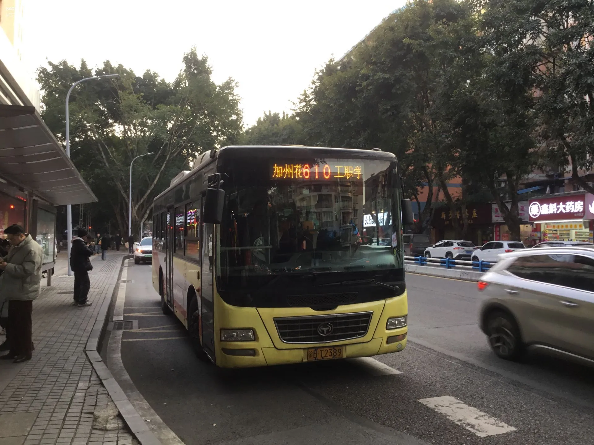 Bus Archive