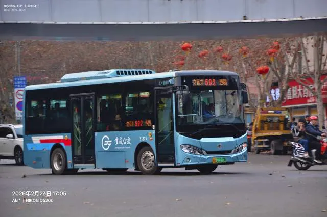 渝A 01610D