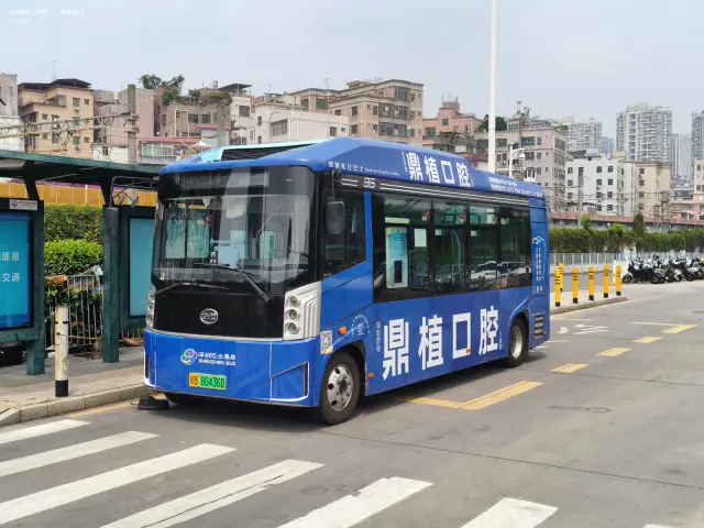 800BUS