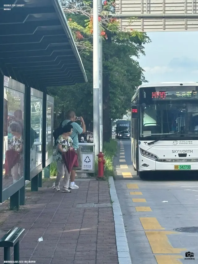 粤B 7891刹
