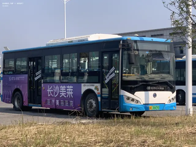 800BUS