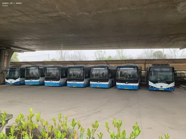 800BUS