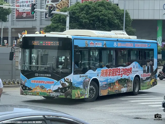 湘A 96356D