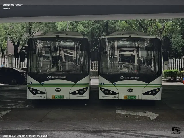 湘A 97612D、湘A 98555D