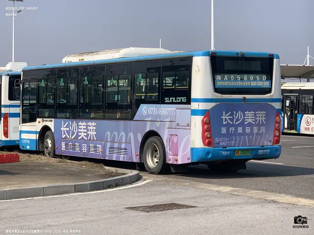 湘A 05605D