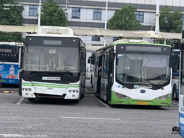 湘A B3019
