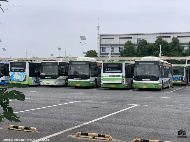湘A B3831、湘A D4241、湘A B3890、湘A B0246、湘A D6130