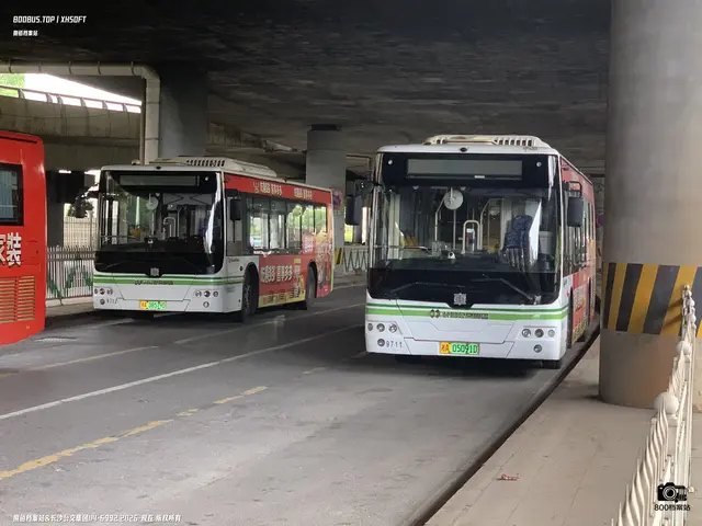 湘A 05091D、湘A 08579D