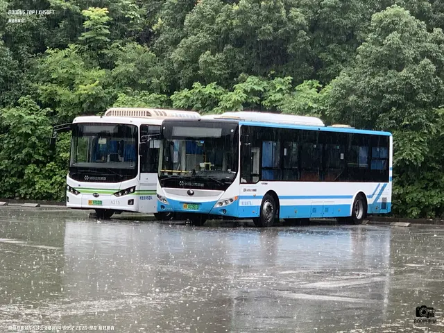 湘A 01261D、湘A 97333D