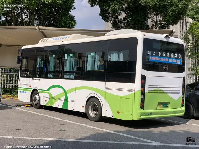 湘A 05863D