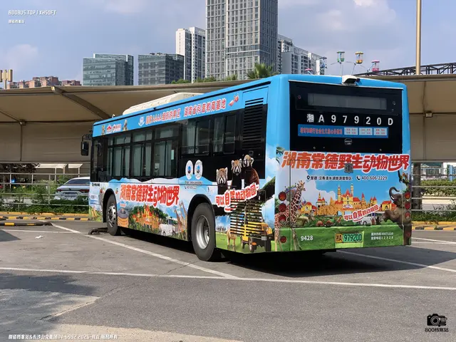 湘A 97920D