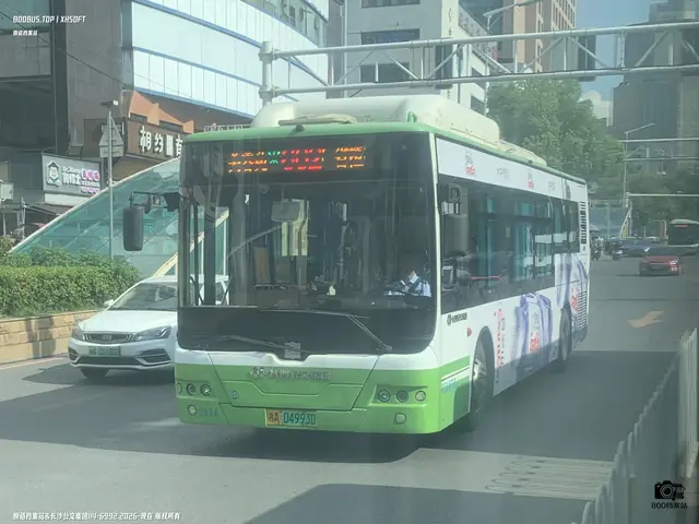 湘A 04993D