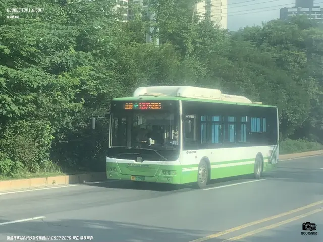 湘A 04256D